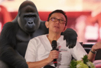'Lebih Merugikan Gorila!' Orang-orang bersemangat, bukan?

