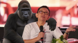 'Lebih Merugikan Gorila!' Orang-orang bersemangat, bukan?

