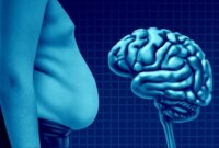 Lemak Perut Tersembunyi yang Diam-diam Menua Otak Anda

