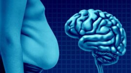 Lemak Perut Tersembunyi yang Diam-diam Menua Otak Anda

