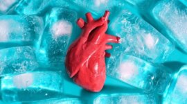 Masalah 100 Tahun Terpecahkan? Ilmuwan Menemukan Cara Membekukan Organ Tubuh Tanpa Merusaknya

