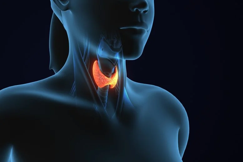 Masalah Tiroid Tersembunyi pada Kehamilan Terkait dengan Autisme

