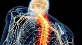 Melampaui Ibuprofen: Ilmuwan Menemukan Cara Menghentikan Rasa Sakit Tanpa Menghentikan Penyembuhan

