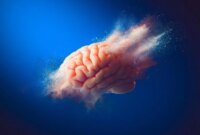 Membongkar “Kompleks Kematian”: Para Ilmuwan Menemukan Strategi Baru untuk Melawan Alzheimer

