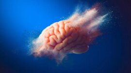 Membongkar “Kompleks Kematian”: Para Ilmuwan Menemukan Strategi Baru untuk Melawan Alzheimer

