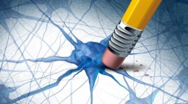 Menurut Para Ilmuwan, “Tanaman Ajaib” Ini Dapat Membantu Mengobati Penyakit Alzheimer

