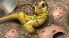 “Mimpi Seorang Ahli Paleontologi”: Terobosan yang Mengubah Cara Kita Mengencani Dinosaurus

