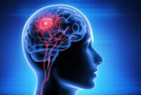 Nanodrop Hidung Baru Membasmi Tumor Otak pada Tikus

