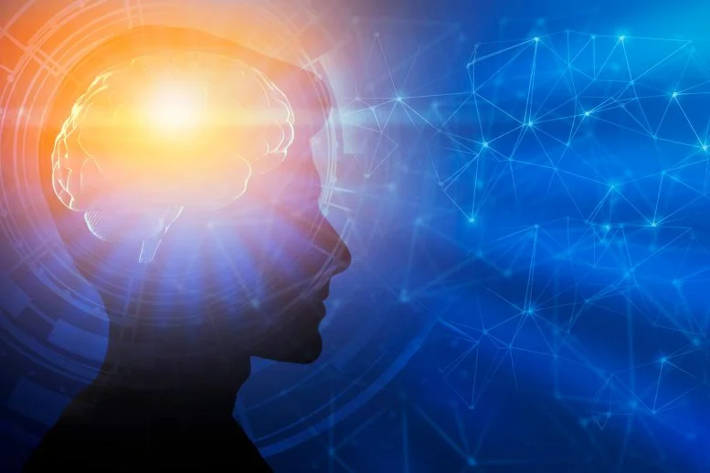 Otak Anda Memiliki Lima Usia Rahasia, dan Satunya Berlangsung Seumur Hidup Anda

