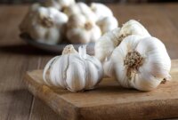 Para Ilmuwan Mengatakan Obat Kumur Bawang Putih Berfungsi Serta Sebagai Antiseptik Populer

