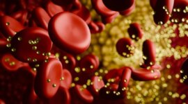 Pedoman Kesehatan Jantung Saat Ini Gagal Menangkap Pembunuh Genetik yang Mematikan

