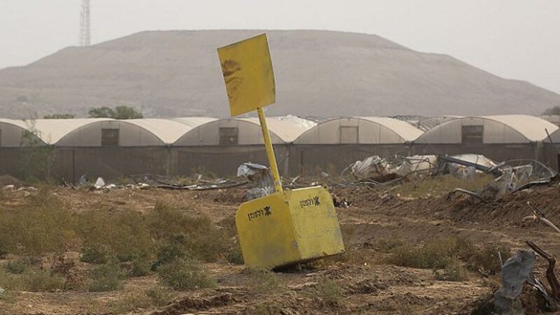 Pemberlakuan garis kuning sepanjang 250 meter oleh pendudukan memaksa banyak keluarga di Gaza mengungsi

