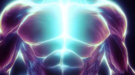 Peneliti Ungkap Mekanisme Penyembuhan Otot yang Sangat Cepat

