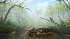 Penemuan Fosil Halaman Belakang Berusia 55 Juta Tahun Mengejutkan Ahli Paleontologi

