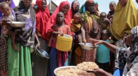Perserikatan Bangsa-Bangsa: Kekeringan membuat jutaan warga Somalia terpapar berita kelaparan dan pengungsian

