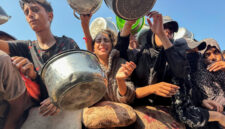 Polisi Israel mencegah aktivis membantu pemanen zaitun Palestina