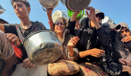 Polisi Israel mencegah aktivis membantu pemanen zaitun Palestina