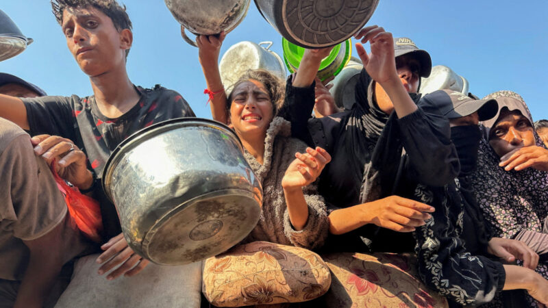 Polisi Israel mencegah aktivis membantu pemanen zaitun Palestina

