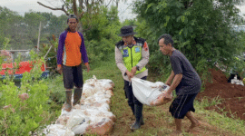 Polsek Wiradesa Pimpin Aksi Gotong Royong, Perkuat Tanggul Sungai Kritis di Wonokerto Bersama Warga

