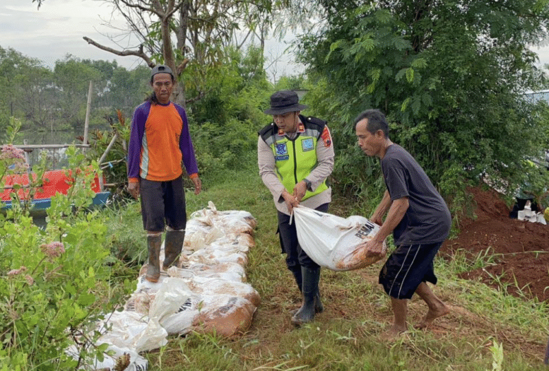 Polsek Wiradesa Pimpin Aksi Gotong Royong, Perkuat Tanggul Sungai Kritis di Wonokerto Bersama Warga

