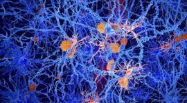 Sel Otak Tersembunyi Mungkin Memegang Kunci Alzheimer

