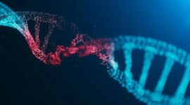 Sensor Baru Ini Menunjukkan Perbaikan DNA Secara Real Time (Video)

