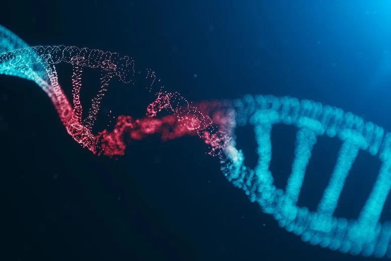 Sensor Baru Ini Menunjukkan Perbaikan DNA Secara Real Time (Video)

