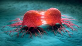 Senyawa Tumbuhan Alami Meningkatkan Kemoterapi Melawan Leukemia

