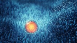 Studi Baru Menyarankan Bahwa Pengobatan Herbal Tiongkok Kuno Dapat Meningkatkan Kesuburan

