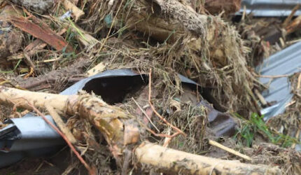 Update Korban Banjir Bandang Sumatera: Total 174 Orang Meninggal