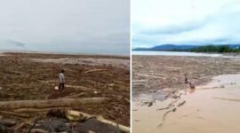 Viral Penampakan Kayu Usai Banjir Bandang di Pantai Padang, Milik Siapakah?

