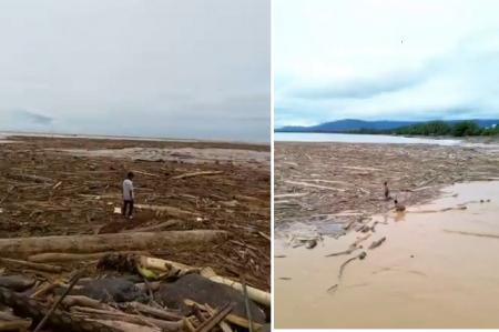 Viral Penampakan Kayu Usai Banjir Bandang di Pantai Padang, Milik Siapakah?

