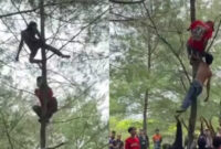 Virus! Saat warga menyelamatkan seorang pria mabuk yang sedang memanjat dan tidur di pohon, endingnya sesuai ekspektasi

