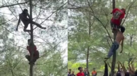 Virus! Saat warga menyelamatkan seorang pria mabuk yang sedang memanjat dan tidur di pohon, endingnya sesuai ekspektasi

