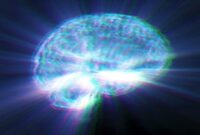 30.000 Pemindaian Otak Mengungkap Bahaya Tersembunyi dalam Makanan Ultra-Olahan

