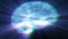 30.000 Pemindaian Otak Mengungkap Bahaya Tersembunyi dalam Makanan Ultra-Olahan