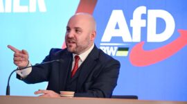 AfD sedang mencari koneksi di AS

