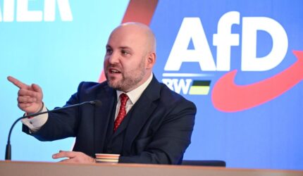 AfD sedang mencari koneksi di AS