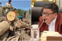 Anggota DPR F-PDIP melarang warga mengambil kayu sisa banjir untuk memperbaiki rumah

