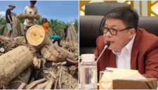 Anggota DPR F-PDIP melarang warga mengambil kayu sisa banjir untuk memperbaiki rumah