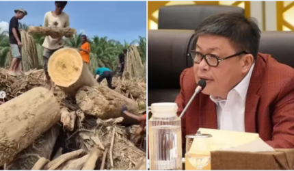 Anggota DPR F-PDIP Larang Warga Ambil Kayu Gelondongan Bekas Sisa Banjir untuk Perbaiki Rumah