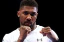 Anthony Joshua berniat 'mengungguli, mengungguli, dan menyakiti' Jake Paul

