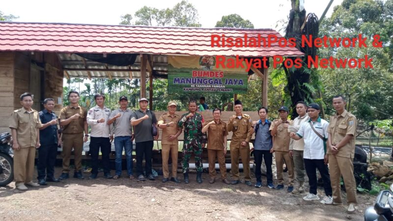 BUMDES Manunggal Jaya, Kampung Rantau Temiang, Kecamatan Banjit: Sukses Kembangkan Budidaya Ikan Air Tawar

