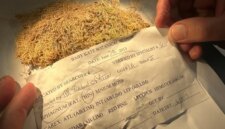 Bagaimana Lumut Memecahkan Misteri yang Tidak Pernah Diduga Para Ilmuwan