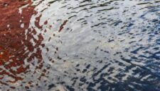 Banjir Merendam 15 Lingkungan di Jaktim akibat Sungai Ciliwung Meluap, Ketinggiannya Capai 80 Cm