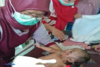 Bayi berusia 3 bulan selamat dari banjir bandang di Sumbar, tersangkut di pohon

