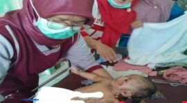 Bayi berusia 3 bulan selamat dari banjir bandang di Sumbar, tersangkut di pohon

