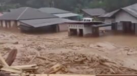 Bobby dan Raja Juli merupakan pihak yang paling bertanggung jawab atas bencana di Sumut

