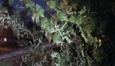 Cuaca buruk menyebabkan penundaan sekolah dan penutupan jalan di Oregon

