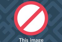 
<p>					<span class=